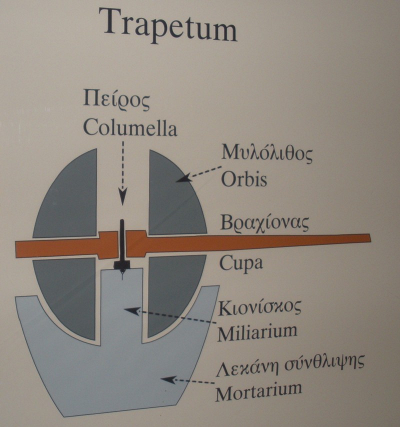 trapetum
