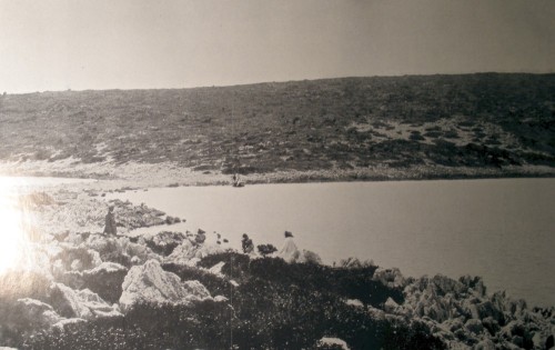 Οι αμφίδυμοι λιμένες επί της νήσου Αρκούδι-Αστερίς. Το άκρο του νότιου λιμανιού. (Πηγή: Wilhelm Dörpfeld, Alt-Ithaka, zweiter Band, Beilage 5)